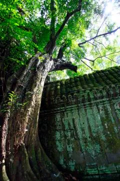 Cambodia Foto stock