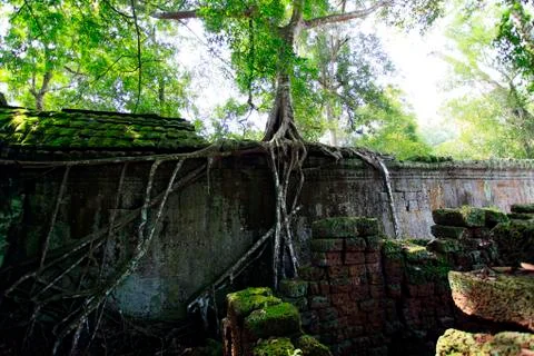 Cambodia Foto stock