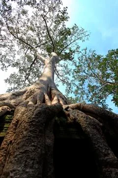 Cambodia 库存照片