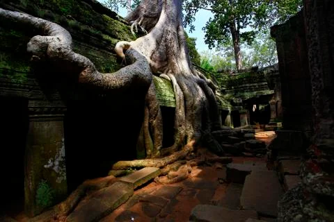 Cambodia Foto stock