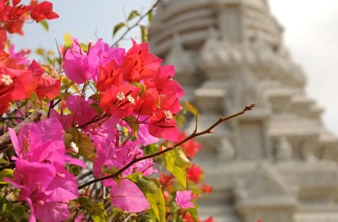 Cambodia Stock Photos