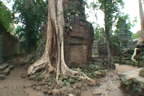 CAMBODIA-TA PROHM TEMPLES 3 Stock Footage 808057