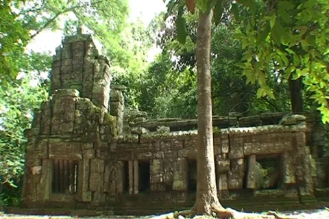 CAMBODIA-TA PROHM TEMPLES 6 Stock Footage 808450