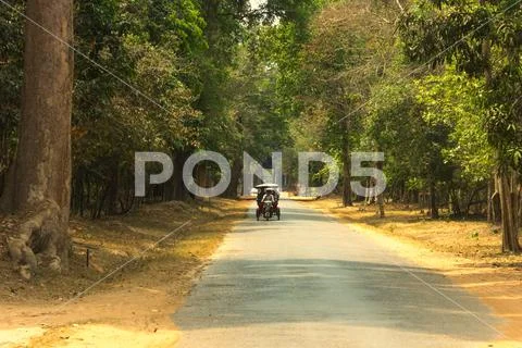 Cambodia. Temples. Southeast Asia. Nature Stock Photos