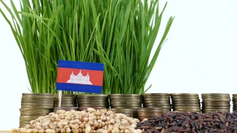 Cambodian flag with stack of money coins and piles of wheat and rice seeds Video stock 71947498