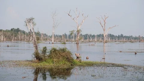 Cambodian Lake 库存影片 90131905