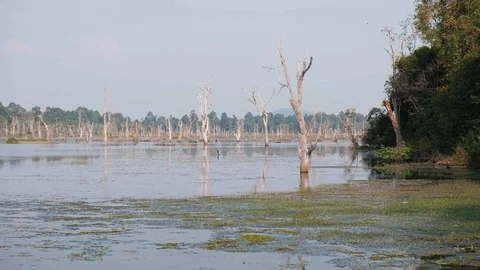 Cambodian Lake 库存影片 90132655