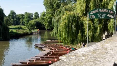 CAMBRIDGE - AUGUST 11, 2017:  View of the River Cam with punts and sign for.. Foto stock