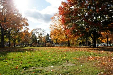 Cambridge Common in Fall Landscape Stock Photos