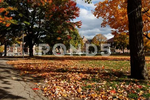 Cambridge Common in Fall, View towards Harvard Law School Stock Photos