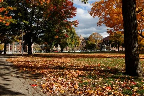Cambridge Common in Fall, View towards Harvard Law School Foto stock