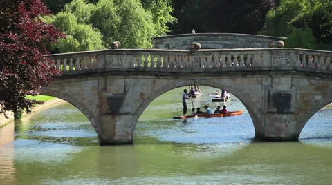 Cambridge punting 스톡 동영상 31336038