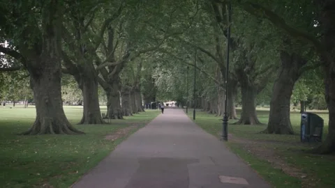 Cambridge, UK - Park Path Trees Stock Footage 159758841