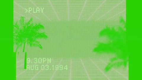 Camcorder VHS Recording Overlay Background Effect – Retro Recording Frame Stock Footage 314124607