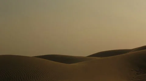 Camel and camel rider walk through the Thar desert ,Jaisalmer,rajasthan Stock Footage 61419554
