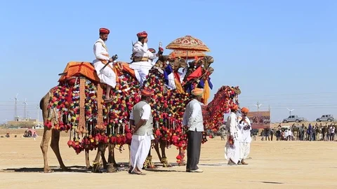 Camel and indian men in Desert Festival in Jaisalmer, Rajasthan, India Stock Footage