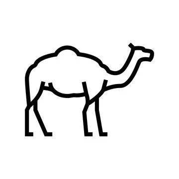 Camel animal line icon vector illustration Illustrazione stock