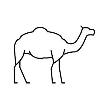 Camel animal line icon vector illustration Stock Illustration