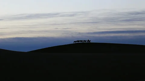Camel Badain Jaran Desert 库存影片 44348771