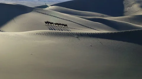 Camel Badain Jaran Desert Video stock 44348816