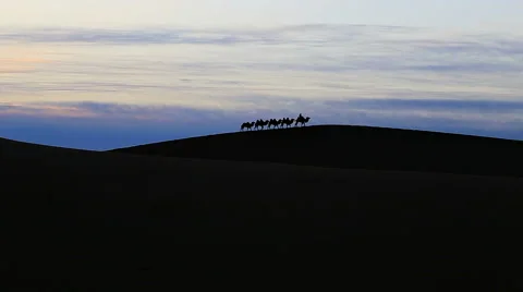 Camel Badain Jaran Desert Video stock 44348943