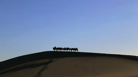 Camel Badain Jaran Desert Stock Footage 44348947