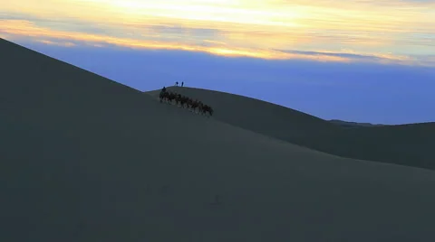 Camel Badain Jaran Desert Stock Footage 44348970