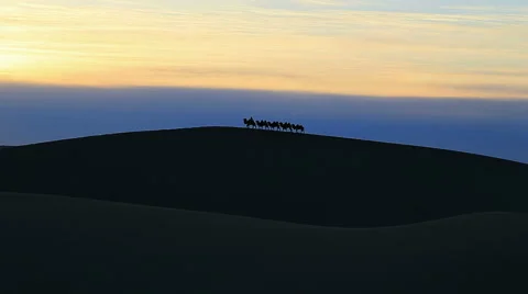 Camel Badain Jaran Desert Video stock 44349033