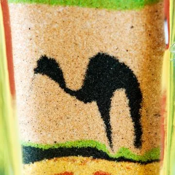 Camel in the bottle Stock Photos