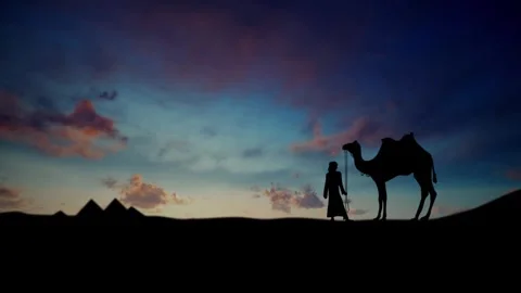 Camel with camel driver against the background of pyramids in the desert sun Stock Footage 262627678