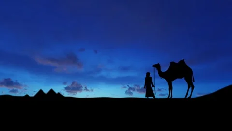 Camel with camel driver against the background of pyramids in the desert dark Stock Footage 262628048