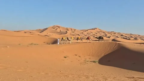 Camel caravan crossing the dunes of Erg Chebbi, Merzouga, Draa-Tafilalet, Stock Footage 344534228