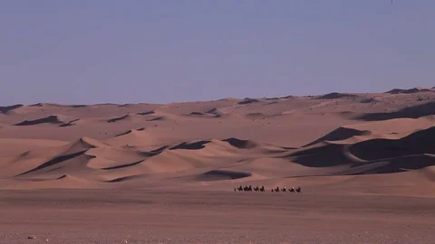 Camel Caravan in the Desert Видео 76905736