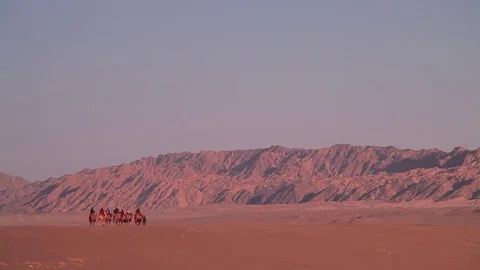 Camel Caravan in the Desert Видео 76912943