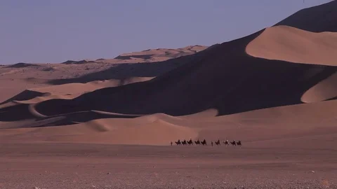 Camel Caravan in the Desert Видео 76915711