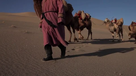 Camel Caravan in the Desert Видео 77210594