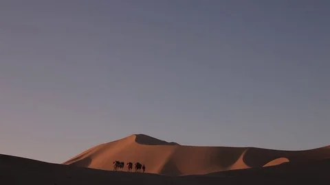 Camel Caravan in the Desert Видео 77238155