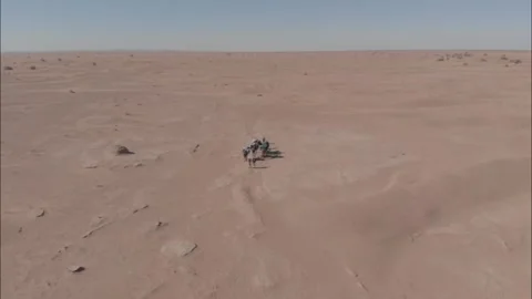 Camel caravan in desert Video stock 153169320