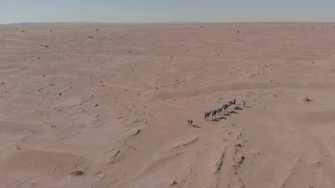 Camel caravan in desert Video stock 153169500