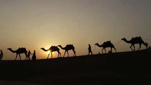 Camel  caravan in desert Stock Footage 158905458