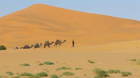 Camel caravan in Erg Chebbi desert Stockbeeldmateriaal 111277708