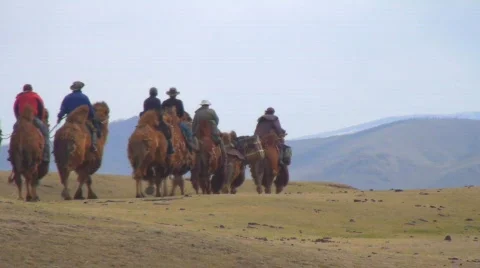 Camel caravan. Vídeo Stock 581080