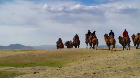 Camel caravan Vídeo Stock 644647
