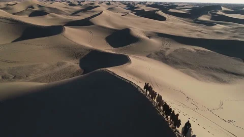 Camel caravan at Gobi desert. This is a famous place part of silk road Stock Footage