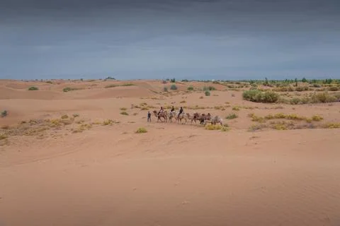 Camel caravan going through the desert, Inner Mongolia, China Stock Photos