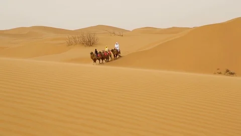 Camel caravan going through the sand dunes Stockbeeldmateriaal 88336410