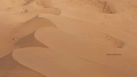 Camel caravan going through the sand dunes in the Sahara Desert, Morocco. Video stock 145032499