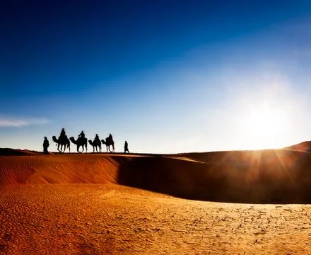 Camel caravan going through the sand dunes in the Sahara Desert Stock Photos