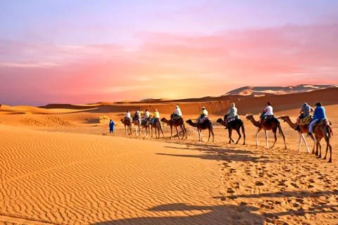 Camel caravan going through the sand dunes in the Sahara Desert, Morocco at.. 스톡 사진