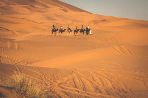 Camel caravan going through the sand dunes in the Sahara Desert, Merzouga, Mo Stock Photos